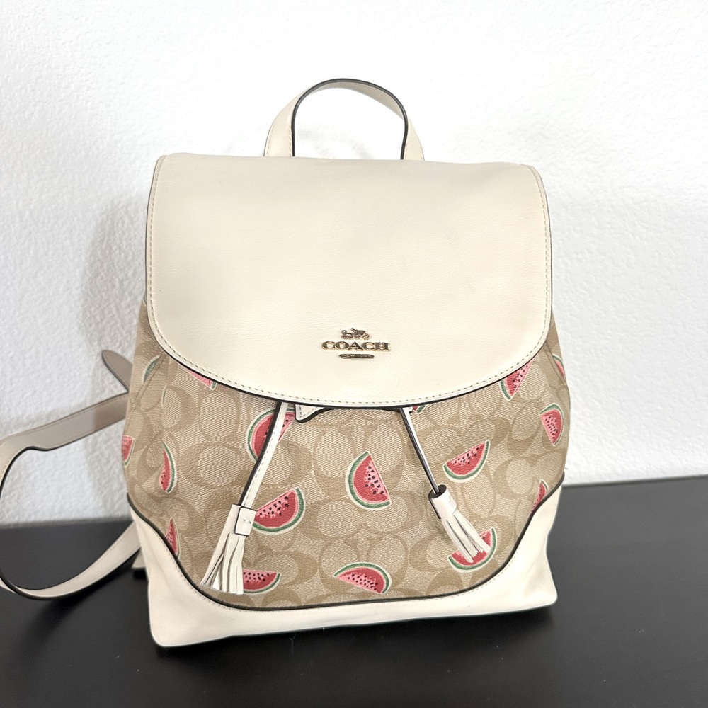 Coach Leather Backpack